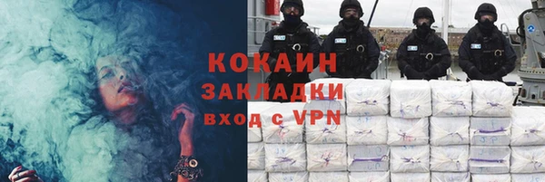 спайс Ельня