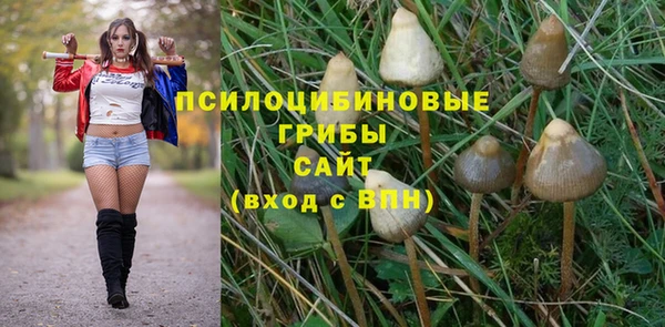 синтетический гашиш Елабуга