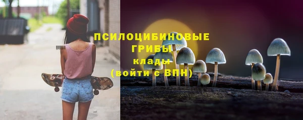 ALPHA-PVP Елизово