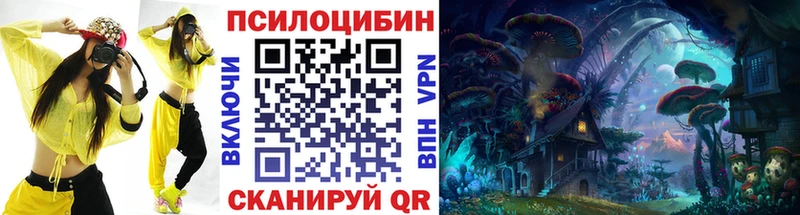 Галлюциногенные грибы мицелий  Купить закладки  Ядрин 
